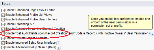 set audit fields setup
