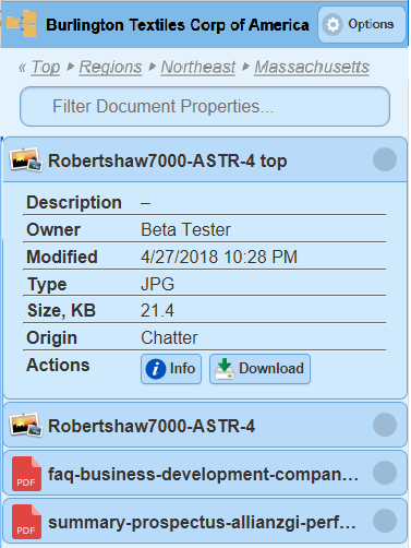 Object-record-mobile-view2